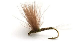 CDC Biot Comp. Dun Olive Døgnfluer