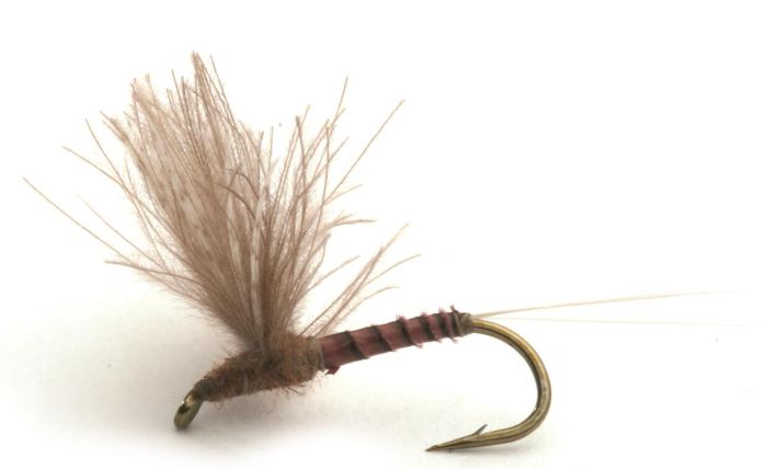 CDC Biot Comparadun Quill Gordon Døgnfluer