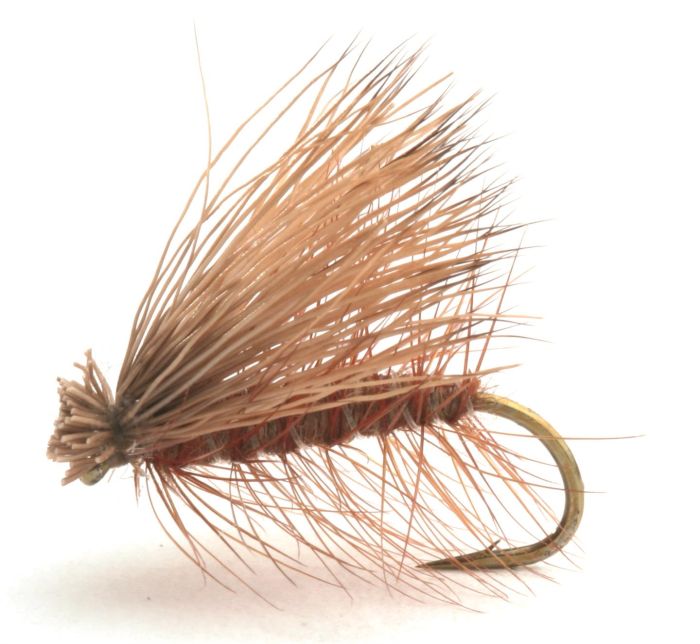 CDC Elk Caddis Brown Vårfluer