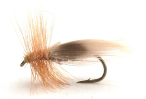 E-12 Europea E-12 Europea Vårfluer