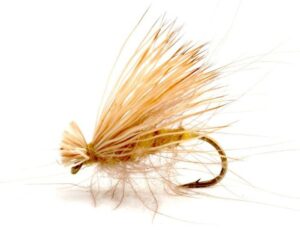 CDC Elk Caddis Yellow CDC Elk Caddis Yellow Vårfluer