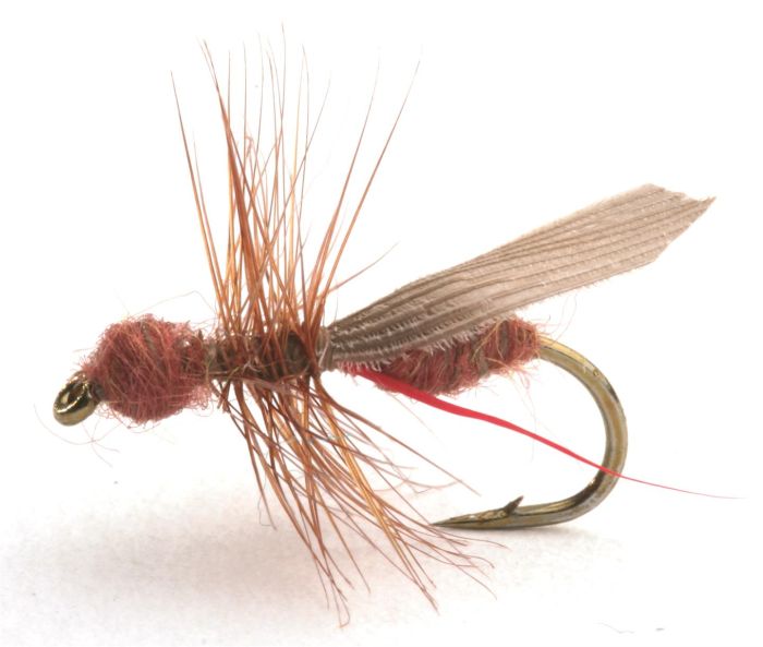 Flying Ant Cinnamon Mygg & Landinnsekter