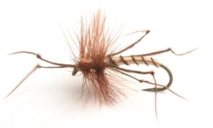 Daddy Long Legs Krok10 Mygg & Landinnsekter