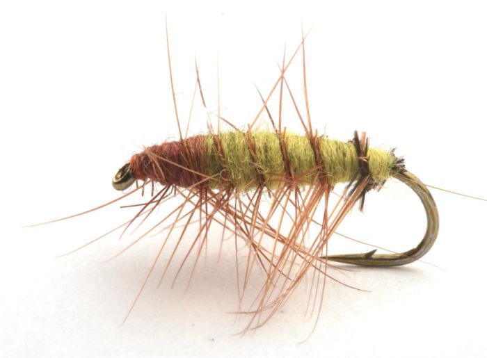 Superpuppan Olive Vårfluer