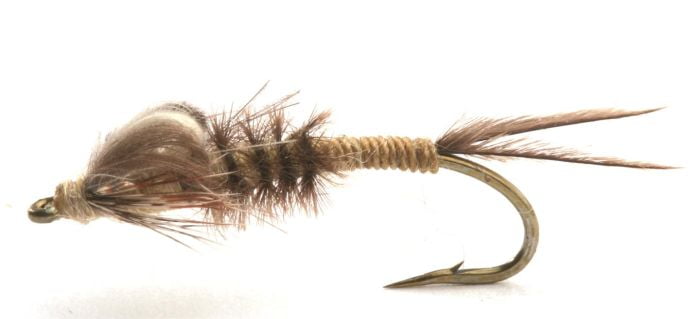 Vulgata Klekker Krok 8 Døgnfluer