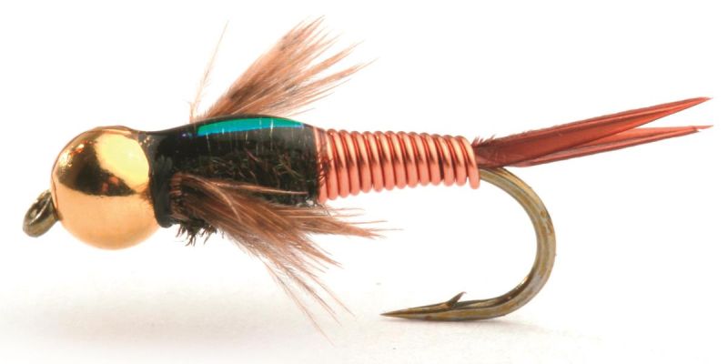 Copper John Copper John Nymfer