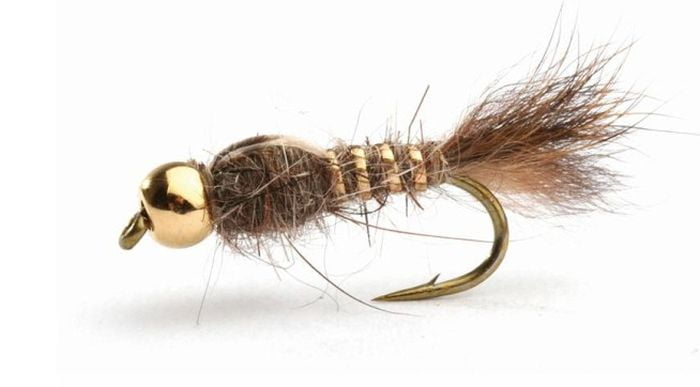 Gold Bead Hares Ear Gold Bead Hares Ear Nymfer