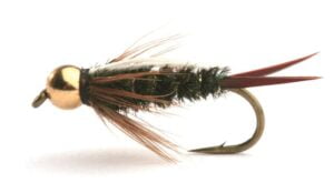 Prince Nymph Gold Bead Prince Nymph Gold Bead Nymfer
