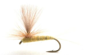 Sulphurea Krok12 Døgnfluer