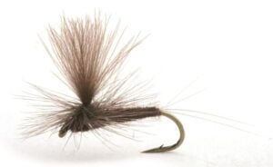 Vespertina Døgnfluer