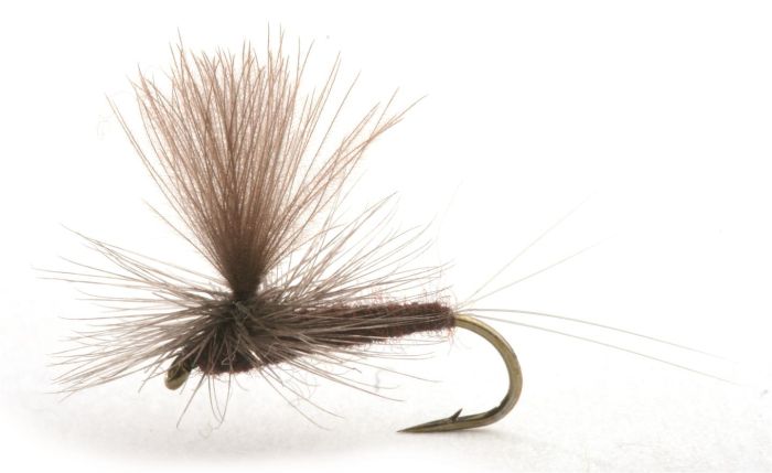 Vespertina Døgnfluer