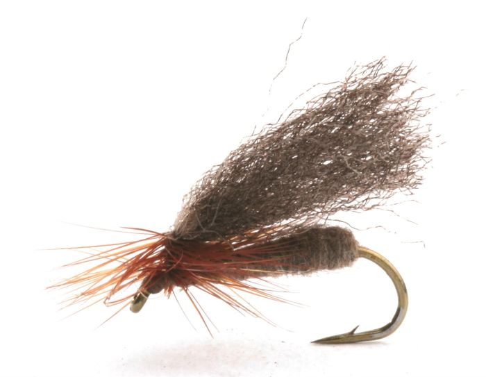 Renaflua Brown Renaflua Brown Vårfluer