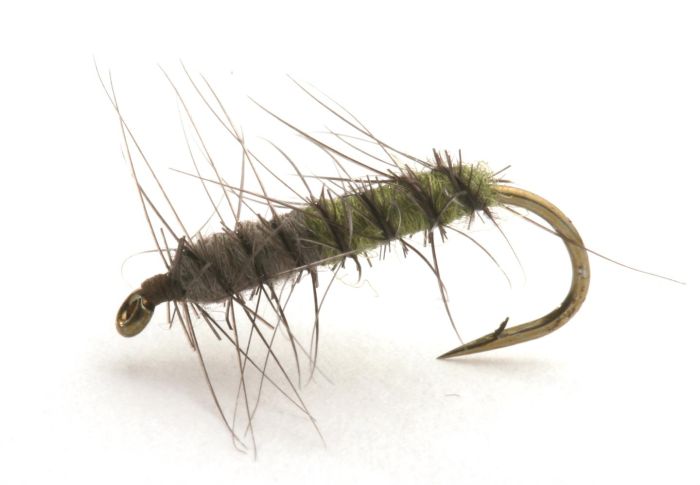 Superpuppan Grønn-Grå Vårfluer