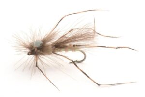 CDC Daddy Long Legs Krok.12 Mygg & Landinnsekter