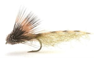 BS Grandisklekker BS Grandisklekker Vårfluer