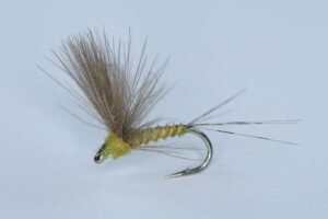 Cdc Biot Comparadun BWO Døgnfluer