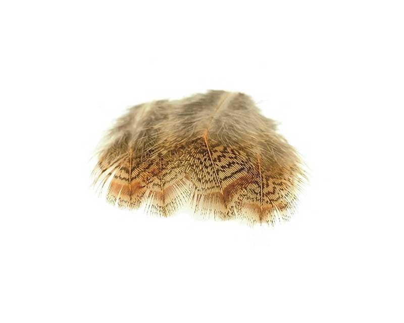English Partridge Brown Back Hackles 3g English Partridge Brown Back Hackles 3g Fjær