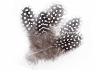 Pærlehøne Naturel Pærlehøne Naturel Fjær