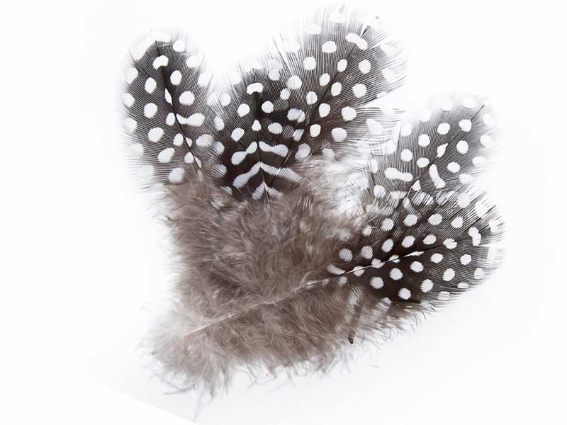 Pærlehøne Naturel Fjær