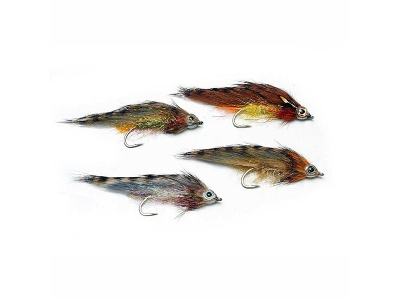 Articulated Fish Spine Shanks Fluekroker