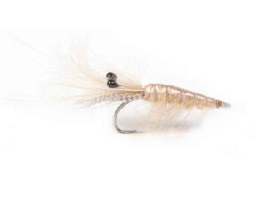 Sand CDC Shrimp Krok 6 Lopper og Rekefluer