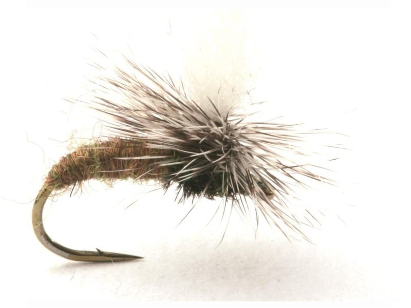 Klinkhammer Oliven Klinkhammer Oliven Vårfluer