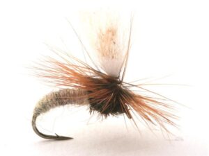 Klinkhammer Klinkhammer Vårfluer