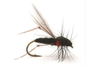 Russer Flua krok 12 Mygg & Landinnsekter