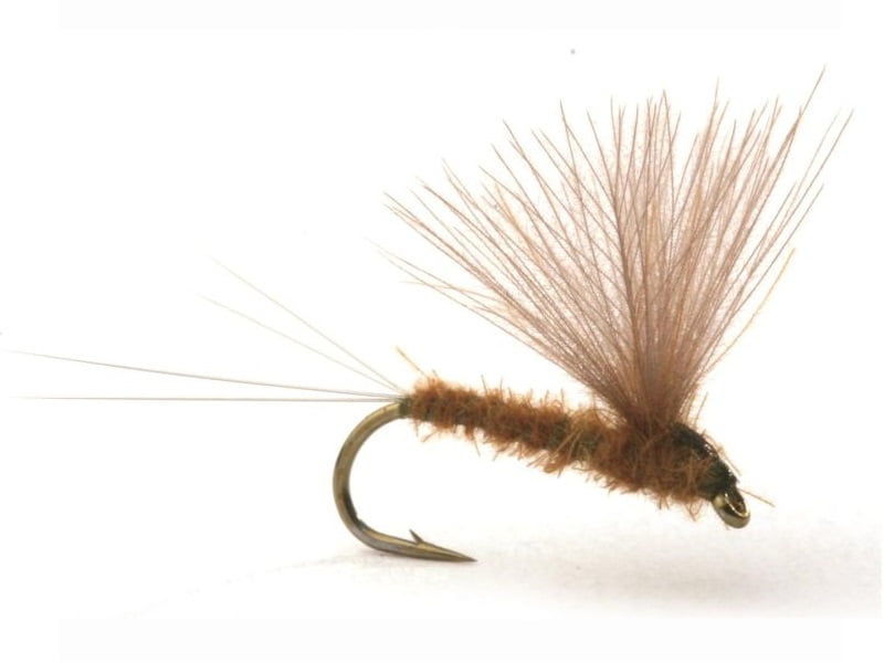 Runes CDC Nohackle Olive Døgnfluer