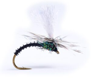 Klink Black Biot Mygg & Landinnsekter