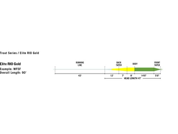 Rio Gold Elite WF Flyt WF Liner