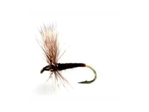 Comparadun Lepto Døgnfluer