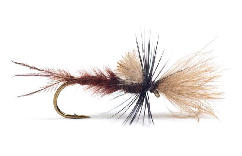 Quigley Cripple Lepto Døgnfluer