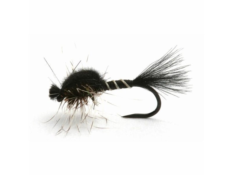 Hatching Midge Black Grey Mygg & Landinnsekter