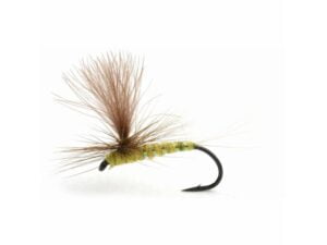 Olive Flash Døgnfluer