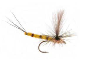 GL Vulgata Dun Krok 10 Døgnfluer