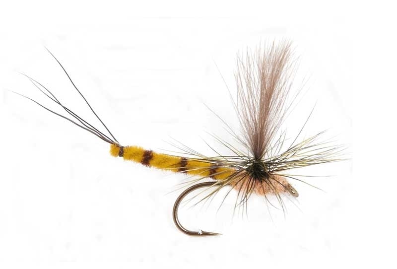 GL Vulgata Dun Krok 10 Døgnfluer