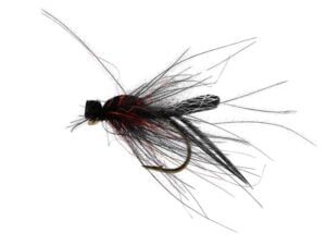 Bibio Pomonae Black Mygg & Landinnsekter