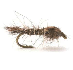 Hares Ear Gold Rib Hares Ear Gold Rib Nymfer