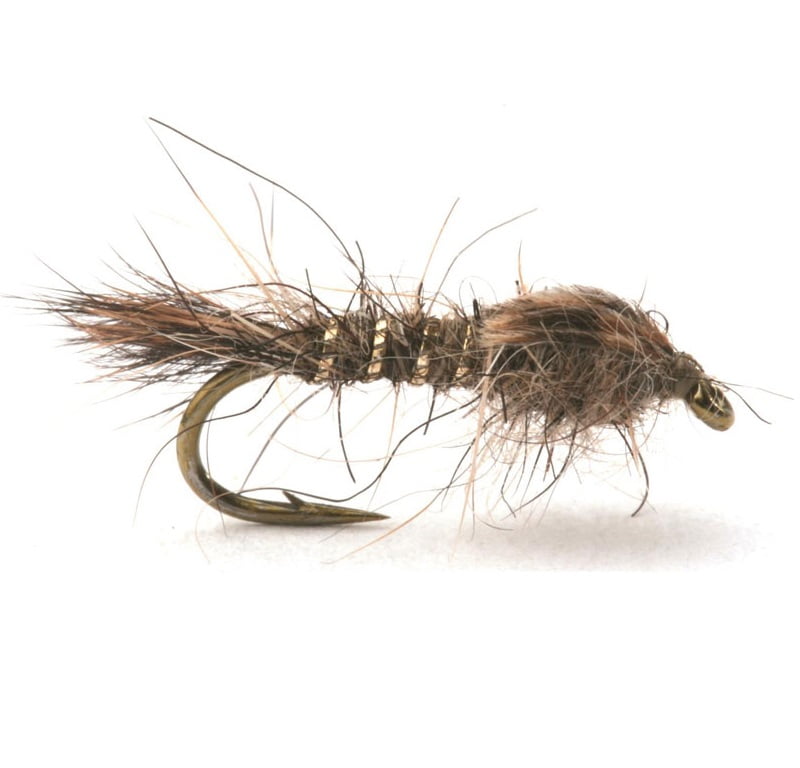 Hares Ear Gold Rib Nymfer