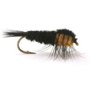 Montana Montana Nymfer