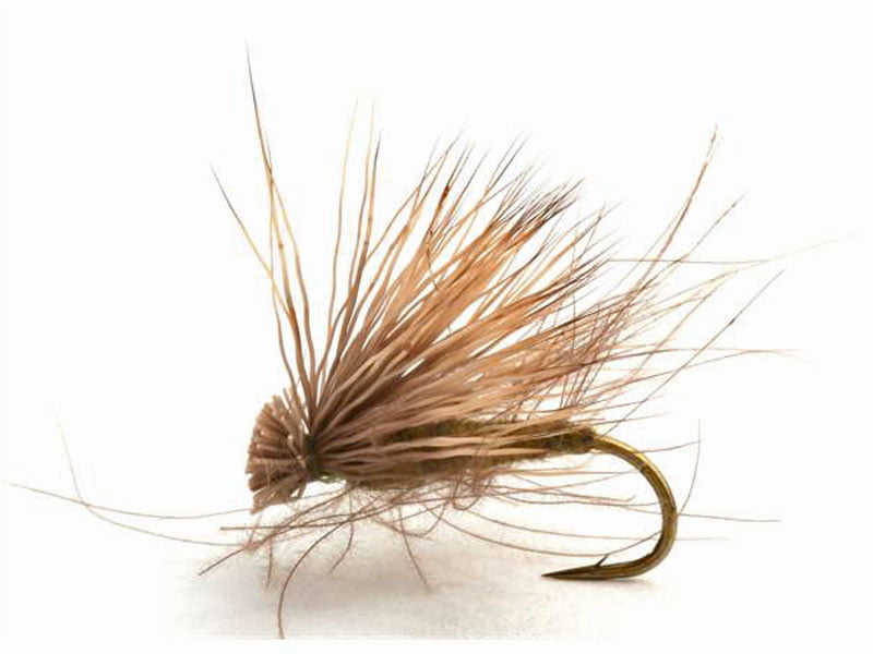 Cdc Elk Caddis Olive Vårfluer