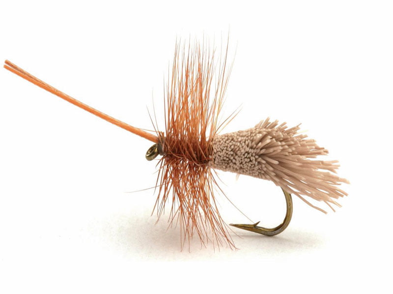 Goddards Caddis Vårfluer