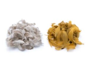 Mallard Flank Big Pack Fjær