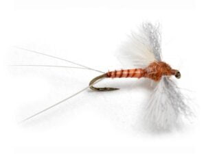 CDC Biot Spinner Rusty Døgnfluer