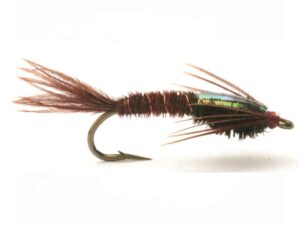 Flashback Pheasant Tail Flashback Pheasant Tail Nymfer
