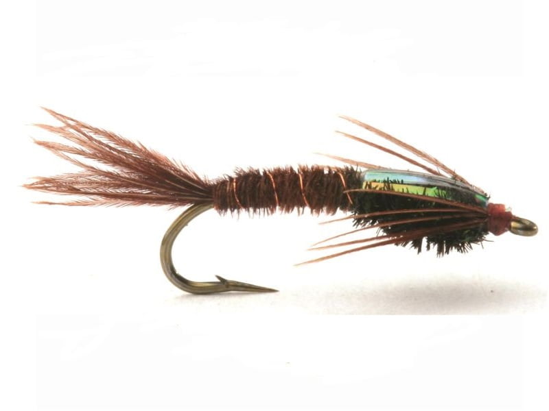 Flashback Pheasant Tail Nymfer