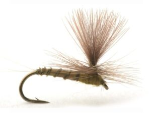 Biot Dun Medium Olive Døgnfluer