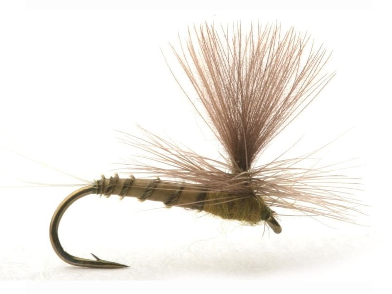 Biot Dun Medium Olive Døgnfluer