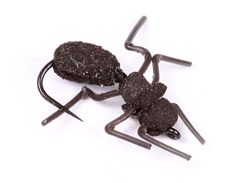 Ant Misbehavin Logans Ant Misbehavin Logans Mygg & Landinnsekter